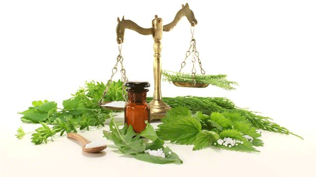 Fresh Plant Material To Make Anointing Oil