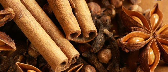 Ancient Biblical Spices